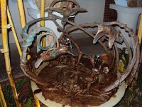 photos 2000-200902576